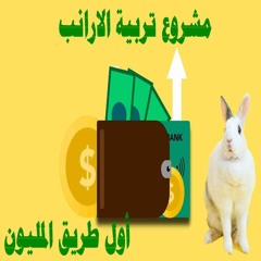 مشروع تربية الارانب