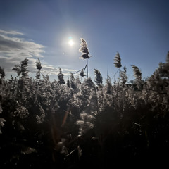 Wind and Spirit