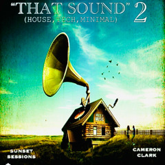 Ep. 104 "That Sound!" 2 (House,Techno,Minimal)