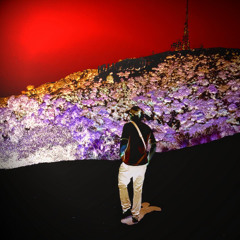 8mil - so flossy (prod. sadbed)