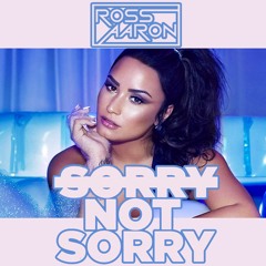 Sorry Not Sorry - Demi Lovato (Ross Aaron Flip)