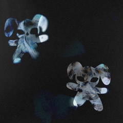 Tona, Parca - Ab Ovo (Free Download)