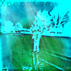 Xpertise