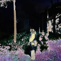 B4D V4MP1RE (mixed by me)