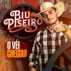 PISEIRO/FORRÓ BIU DO PISEIRO CD NOVO 2023 REPERTÓRIO NOVO
