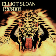 Elliot Sloan - WIRED