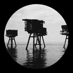 Ely Muff - Automatic Predator
