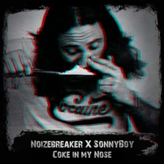 Bitches & Ho's (Noizebreaker & Sonnyboy Bootleg)