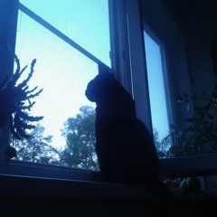 Coisas Pra Falar (Prod YeR)