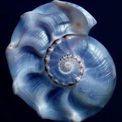 The Seventh Seal of the Deep Roads