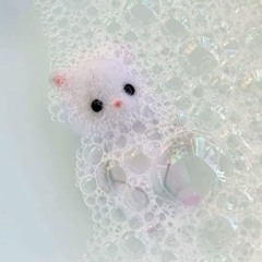 너애치카