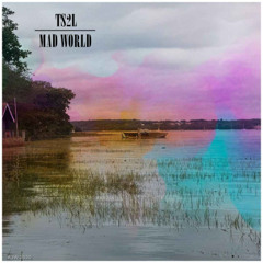 Mad world (originally by Tears for Fears)