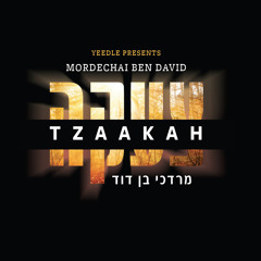P'sach Lanu Sha'ar (feat. Motty Steinmetz)