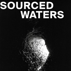 Hoi Ming Du & Shen He