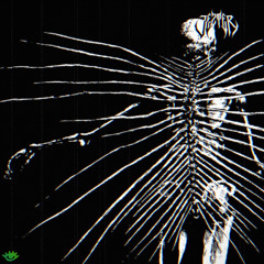 5CHIZO - SHAKA (Jezter Flip) [500 FOLLOWER FREEBIE]