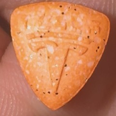 EVICTED ray x shono x mar