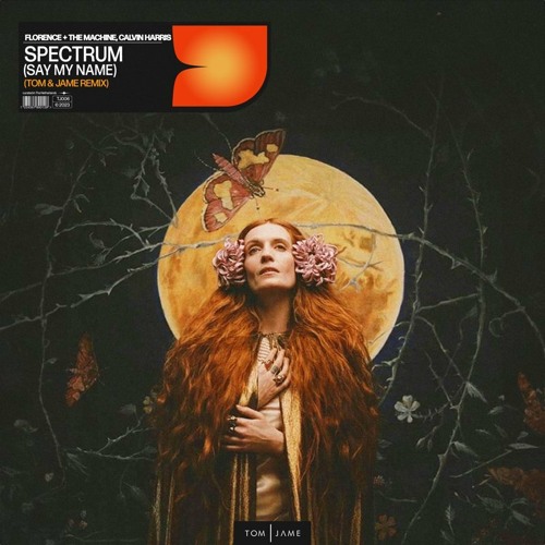 Spectrum (Say My Name) (Tom & Jame Remix Extended)