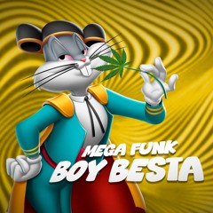 MEGA FUNK BOY BESTA {DJ KELVEN SC}