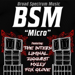 The Intern @ BSM Micro Aug '25 | Re-Recorded