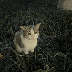 I'm Lost Again