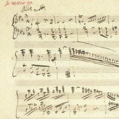 Schubert Sonata D958 - Mov II