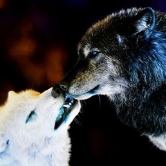 Respecting the Nature  - prod. Harry D'Ängel