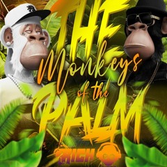 The Monkeys Of The Palm RICHDJ B2B DJDIFER