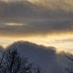 Yesterday's Rain