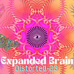 Expanded Brain