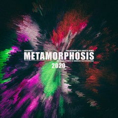 Subsonic - Metamorphosis (Tim Neumann Aka Lunatic Remix)_preview