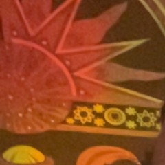 CoinToss - riq - dandan