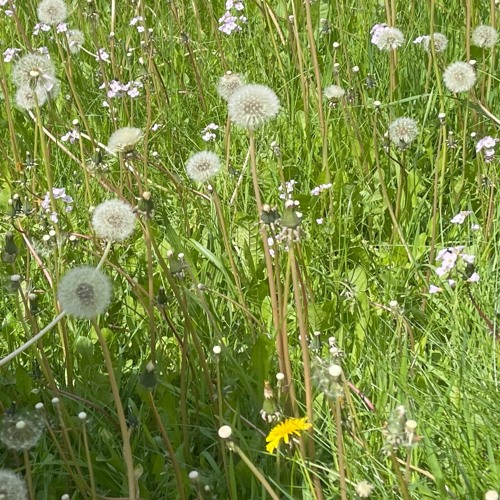 think of u (way2vile)