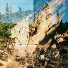 Indian Summer - New Insomnia