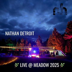 LIVE @ MEADOW 2025
