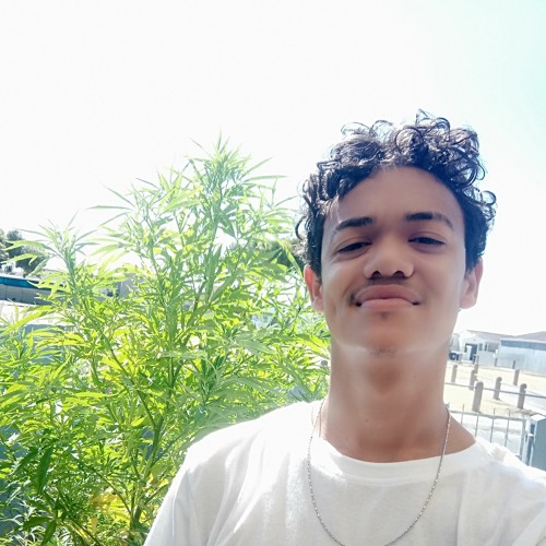 Rack Stacky Prod By Wxst Phase