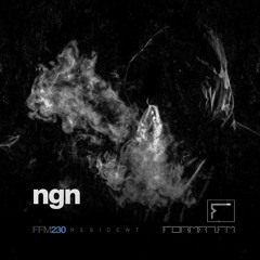 FFM230.1 | NGN