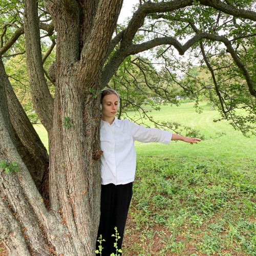 Stream Tree Time - Audio Track by Caitlin Dear | Listen online for free ...
