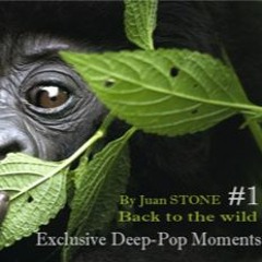 EXCLUSIVE DEEP - POP MOMENTS #1 - By Juan STONE