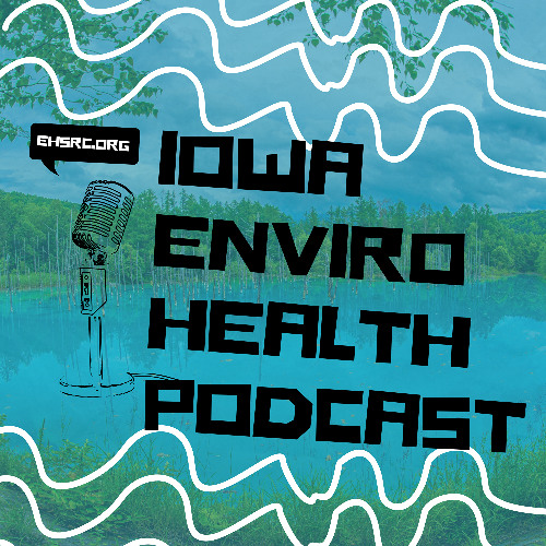 Connections Between Our Environment and Economics