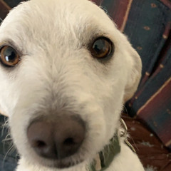 Ignoring an obvious problem