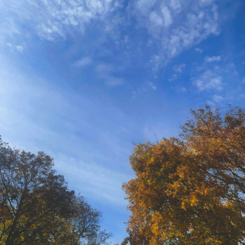 HITS DIFFERENT 🤔🌎✨💫