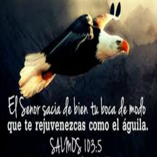 Stream Bendice Alma Mia A Jehova - Salmo 103 Por Roberto Godoy by EL CULTO  DE HOY EN CASA