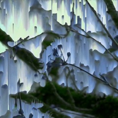 Are You Lying To Your Therapist About Being Sober Again? Yes. (slowed + reverb)