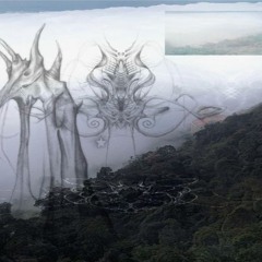 ヽ(°〇°)ﾉ