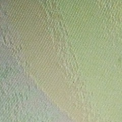 The Sound Of Fruity Truth