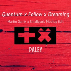 Martin Garrix x Smallpools - Quantum x Follow x Dreaming (PALEY Mashup Edit)