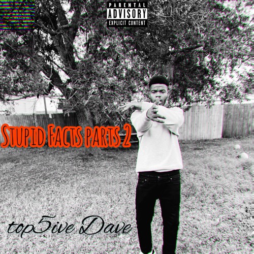Top5ive Davee - Stupid Facts Part 2