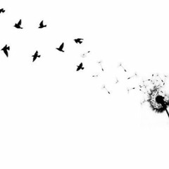 New Kingz Music- Voar