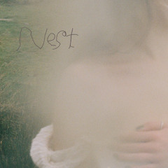 Nest