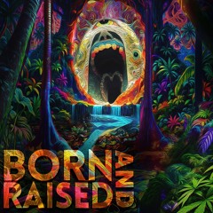 Follow Your Flow 3 - Born And Raised Live - 09.11.2024